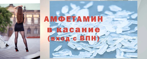 PSILOCYBIN Вяземский