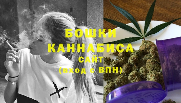 PSILOCYBIN Вязники