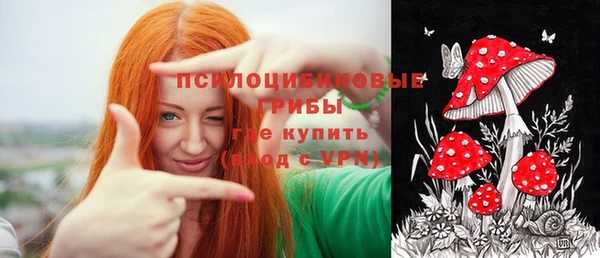 ешки Володарск